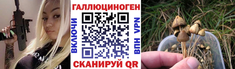 как найти закладки Подпорожье Псилоцибиновые грибы ЛСД