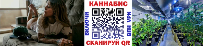 Бошки Шишки тримм  где найти   Подпорожье 